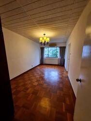 The Cairnhill (D9), Condominium #582246241